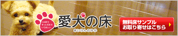 愛犬の床